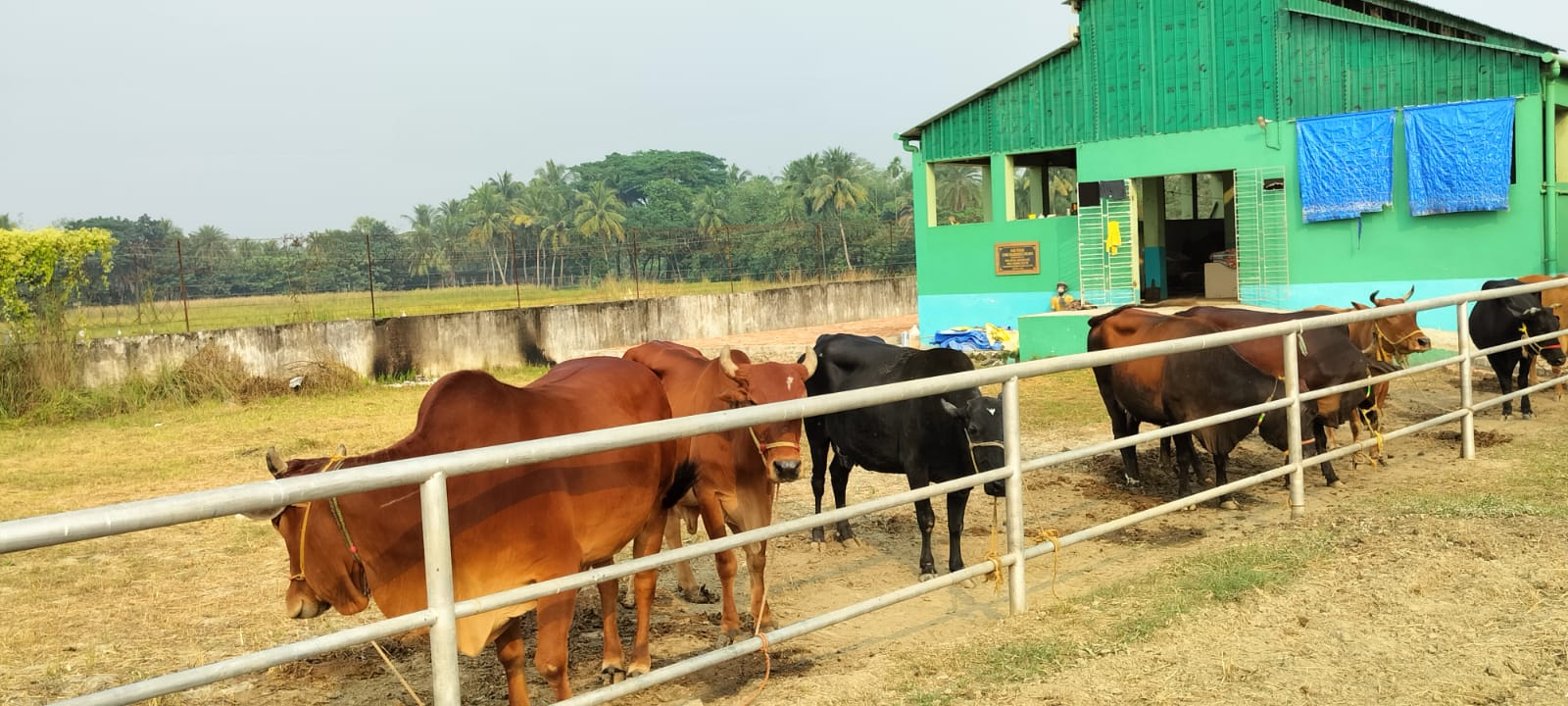 "Sadhana" Integrated Child Development Program for Rural Malnourished Children